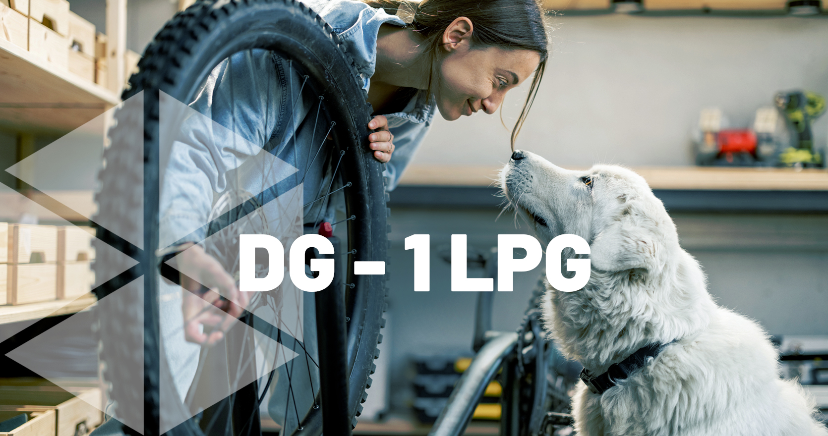 DG-1 LPG – Rilevatore di gas GPL